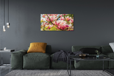 Quadro em tela magnólia rosa