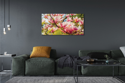 Quadro em tela magnólia rosa
