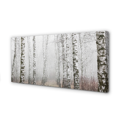 Quadro em tela Névoa de bétula