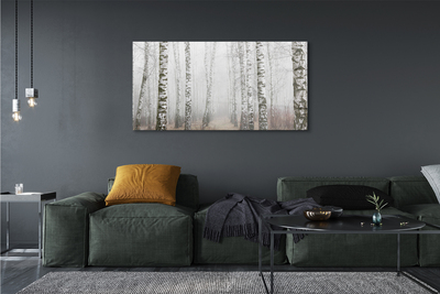 Quadro em tela Névoa de bétula