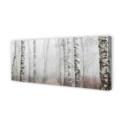 Quadro em tela Névoa de bétula