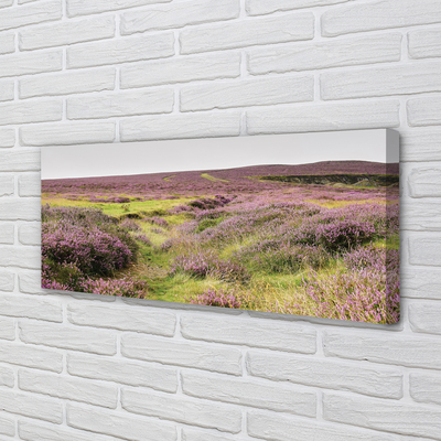 Pintura em tela Campo de urze