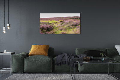 Pintura em tela Campo de urze