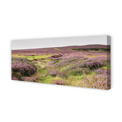 Pintura em tela Campo de urze