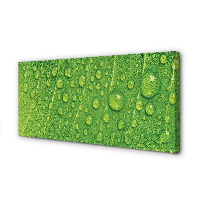 Pintura em tela Gotas em uma macro de folha