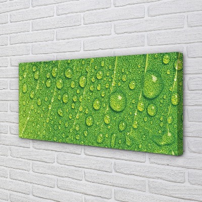 Pintura em tela Gotas em uma macro de folha