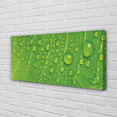 Pintura em tela Gotas em uma macro de folha