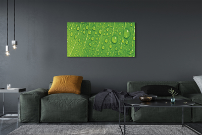 Pintura em tela Gotas em uma macro de folha