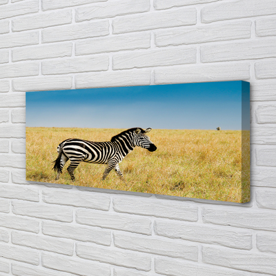 Pintura em tela Campo de zebras