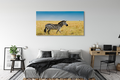 Pintura em tela Campo de zebras