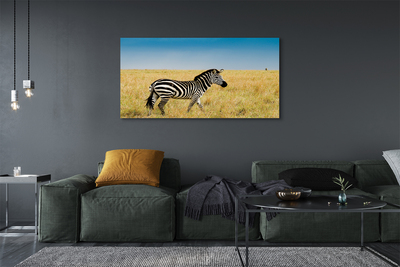 Pintura em tela Campo de zebras
