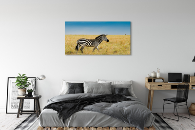 Pintura em tela Campo de zebras