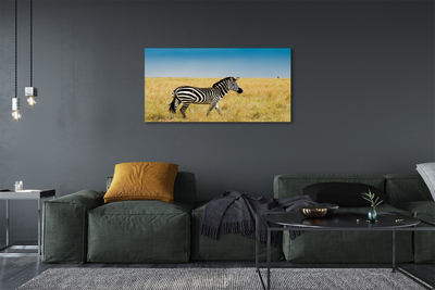 Pintura em tela Campo de zebras
