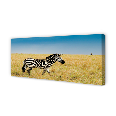 Pintura em tela Campo de zebras