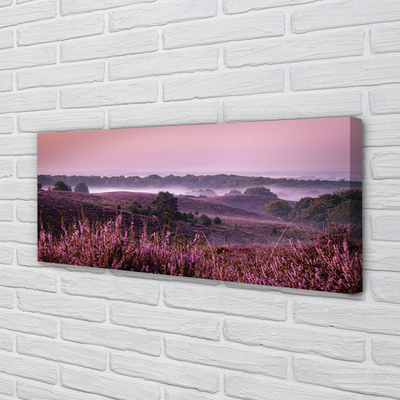 Quadro em tela Campo de urze