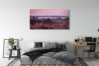 Quadro em tela Campo de urze