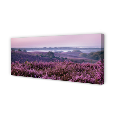 Pintura em tela Campo de urze