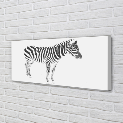 Quadro em tela zebra pintada