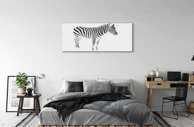 Quadro em tela zebra pintada
