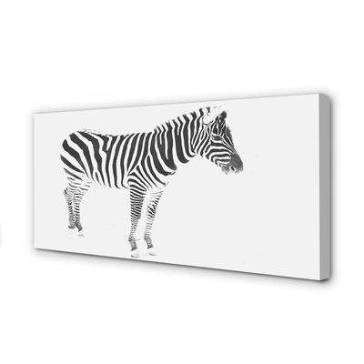 Quadro em tela zebra pintada