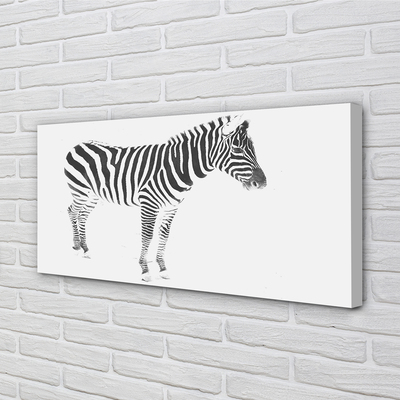 Quadro em tela zebra pintada