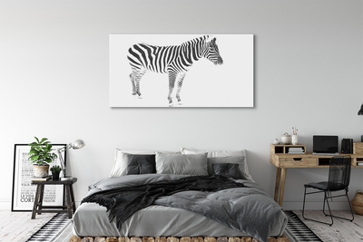 Quadro em tela zebra pintada