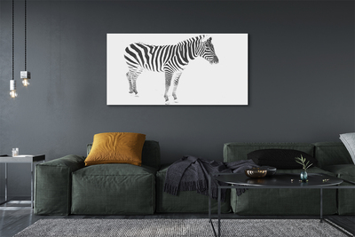 Quadro em tela zebra pintada