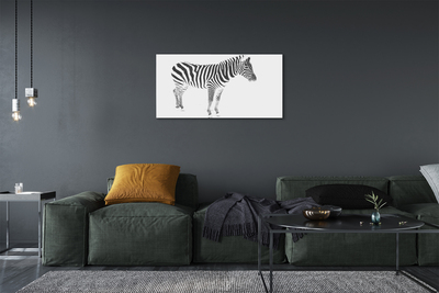 Quadro em tela zebra pintada