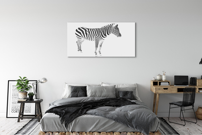 Quadro em tela zebra pintada