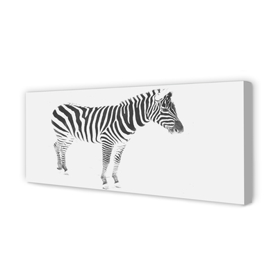 Quadro em tela zebra pintada