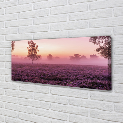 Quadro em tela Campo de urze