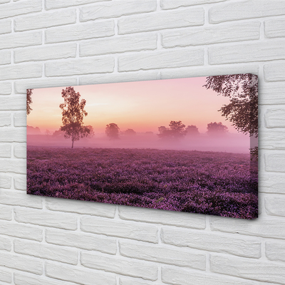 Quadro em tela Campo de urze