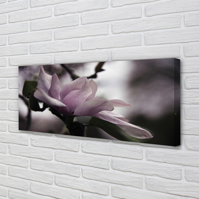 Pintura em tela Magnólia