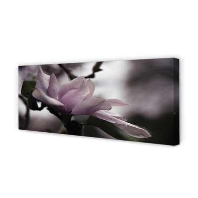 Pintura em tela Magnólia
