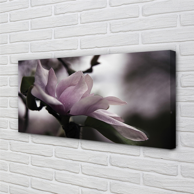Pintura em tela Magnólia