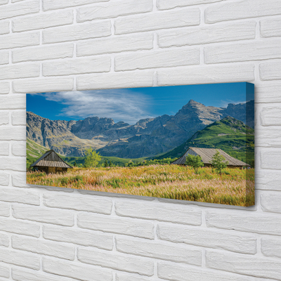 Quadro em tela Montanhas, campos, casas