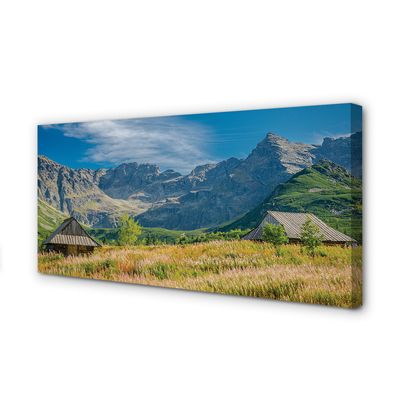 Quadro em tela Montanhas, campos, casas