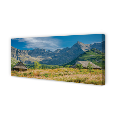 Quadro em tela Montanhas, campos, casas