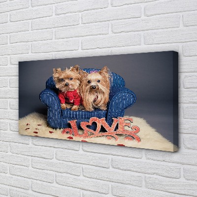 Pintura em tela Yorkies