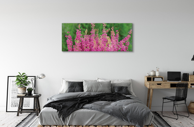 Quadro em tela Flores de urze