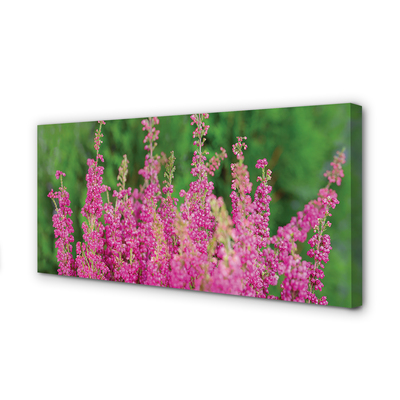 Quadro em tela Flores de urze