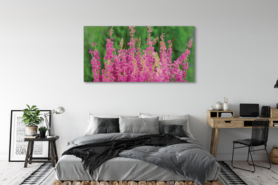 Quadro em tela Flores de urze