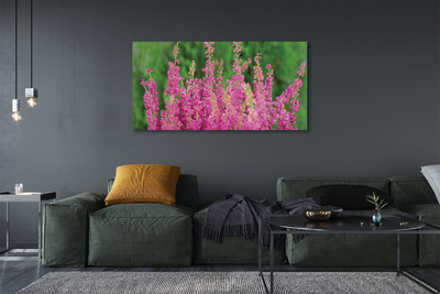 Quadro em tela Flores de urze