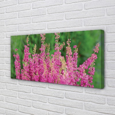 Quadro em tela Flores de urze