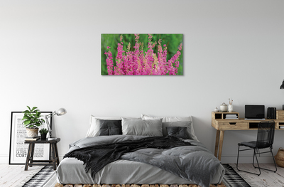 Quadro em tela Flores de urze