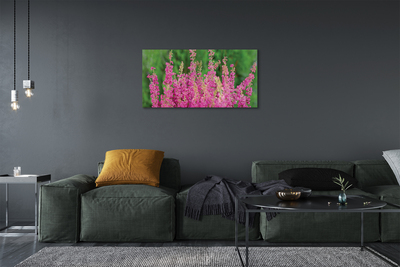 Quadro em tela Flores de urze