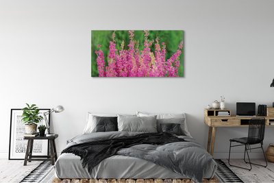Quadro em tela Flores de urze