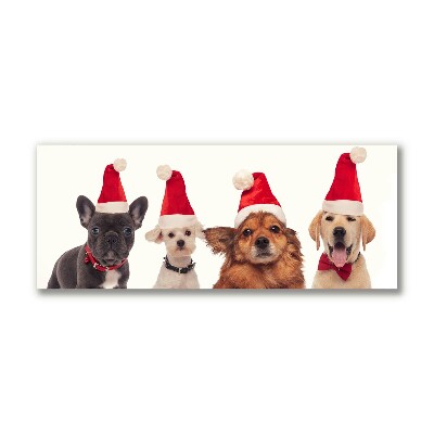Quadro em tela Cães Papai Noel Natal
