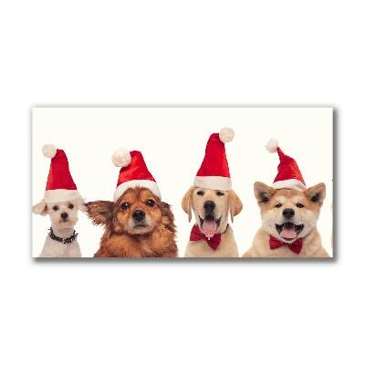 Quadro em tela Cães Papai Noel Natal