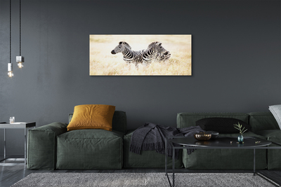 Pintura em tela Campo de zebras